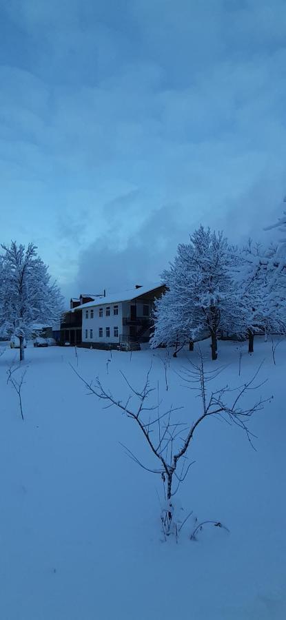 Guest House Tavaduri Mestia Exterior foto